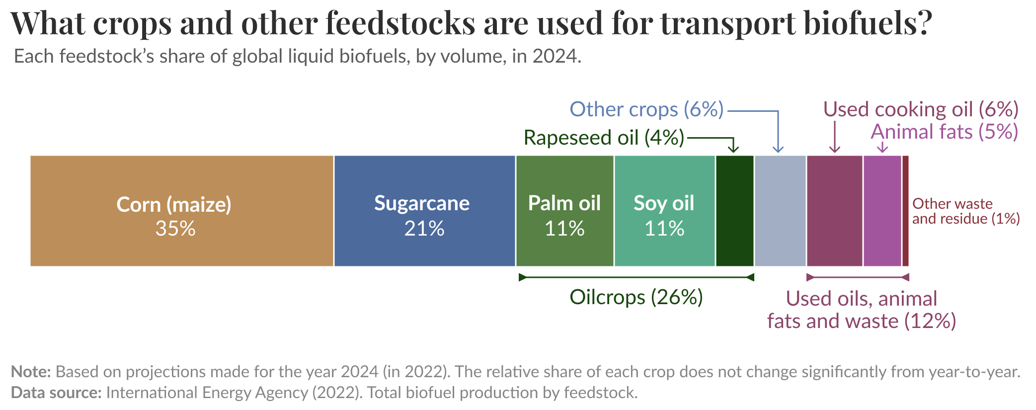 What crops and other feedstocks are used for transport biofuels?
A horizontal stacked-bar chart showing each feedstock’s share of global liquid biofuels by volume in 2024. From largest to smallest, the segments are: Corn (maize) 35%; Sugarcane 21%; Oilcrops total 26%, made up of Palm oil 11%, Soy oil 11%, and Rapeseed oil 4%; Other crops 6%; Used cooking oil 6%; Animal fats 5%; Other waste and residue 1%. Annotations group oilcrops as 26% and used oils, animal fats and waste as 12%. Note: figures are projections for 2024 made in 2022; data source is the International Energy Agency (2022), total biofuel production by feedstock.